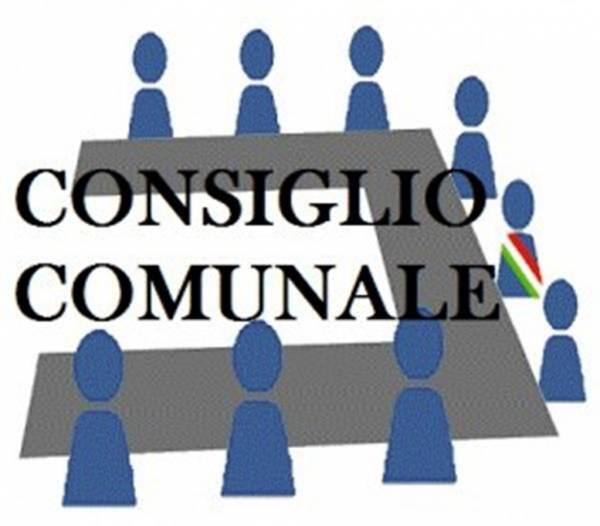 Immagine: consiglio comunale